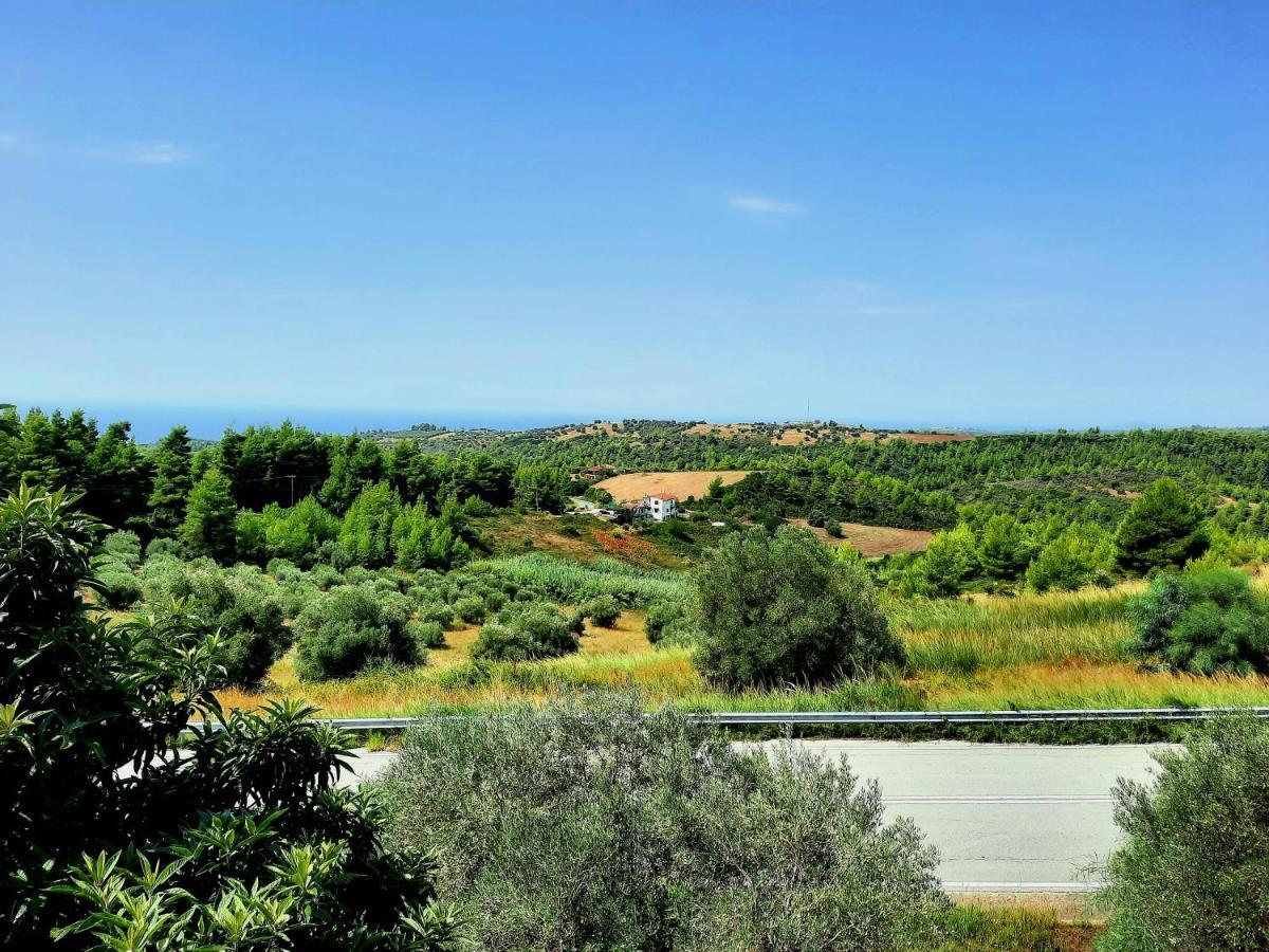House With View