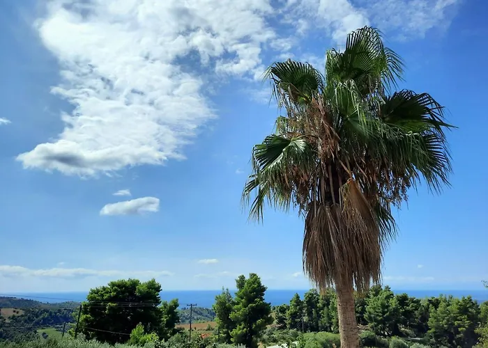 House With View